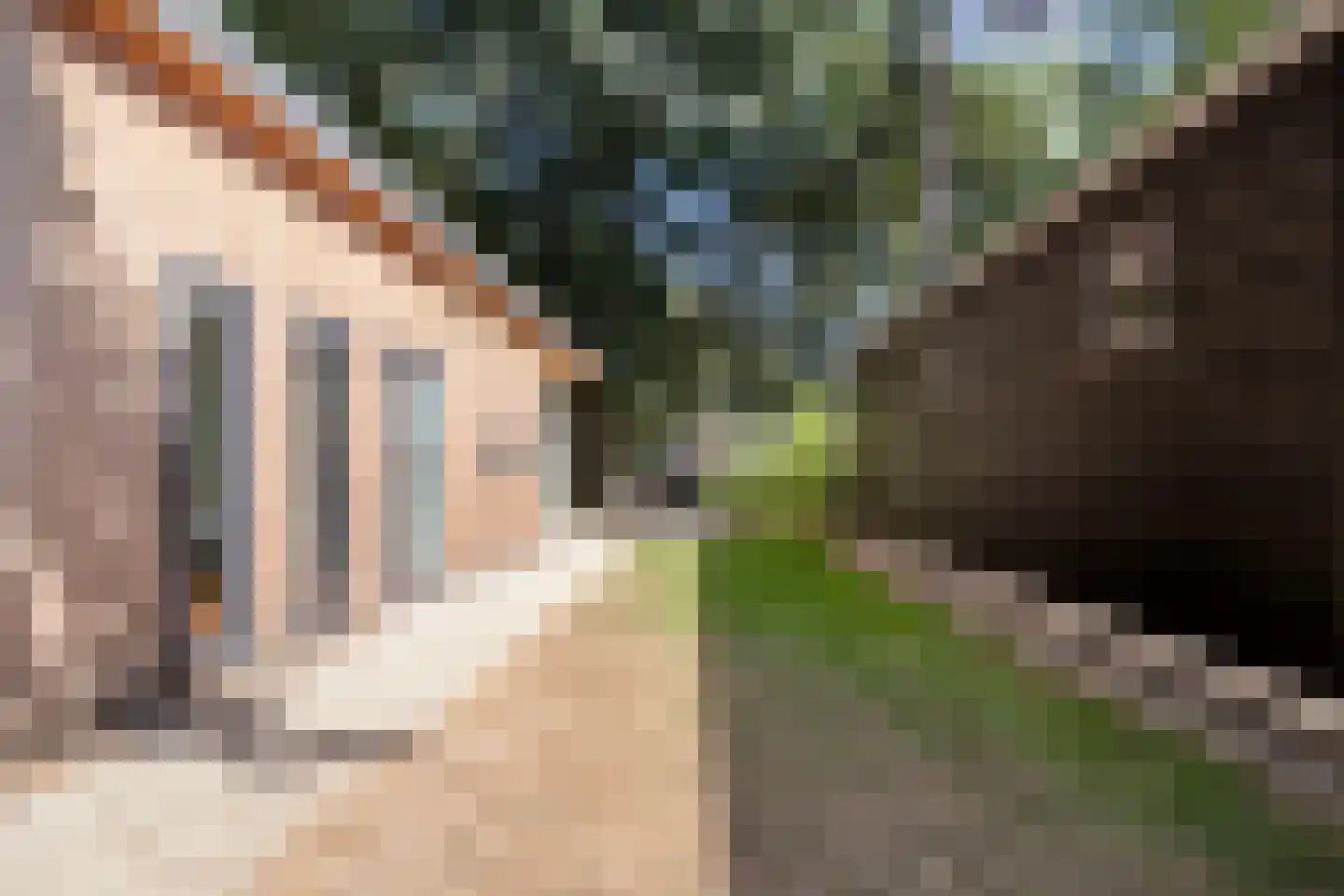 Patrijslaan 4 H 629 Mierlo thumbnail 26