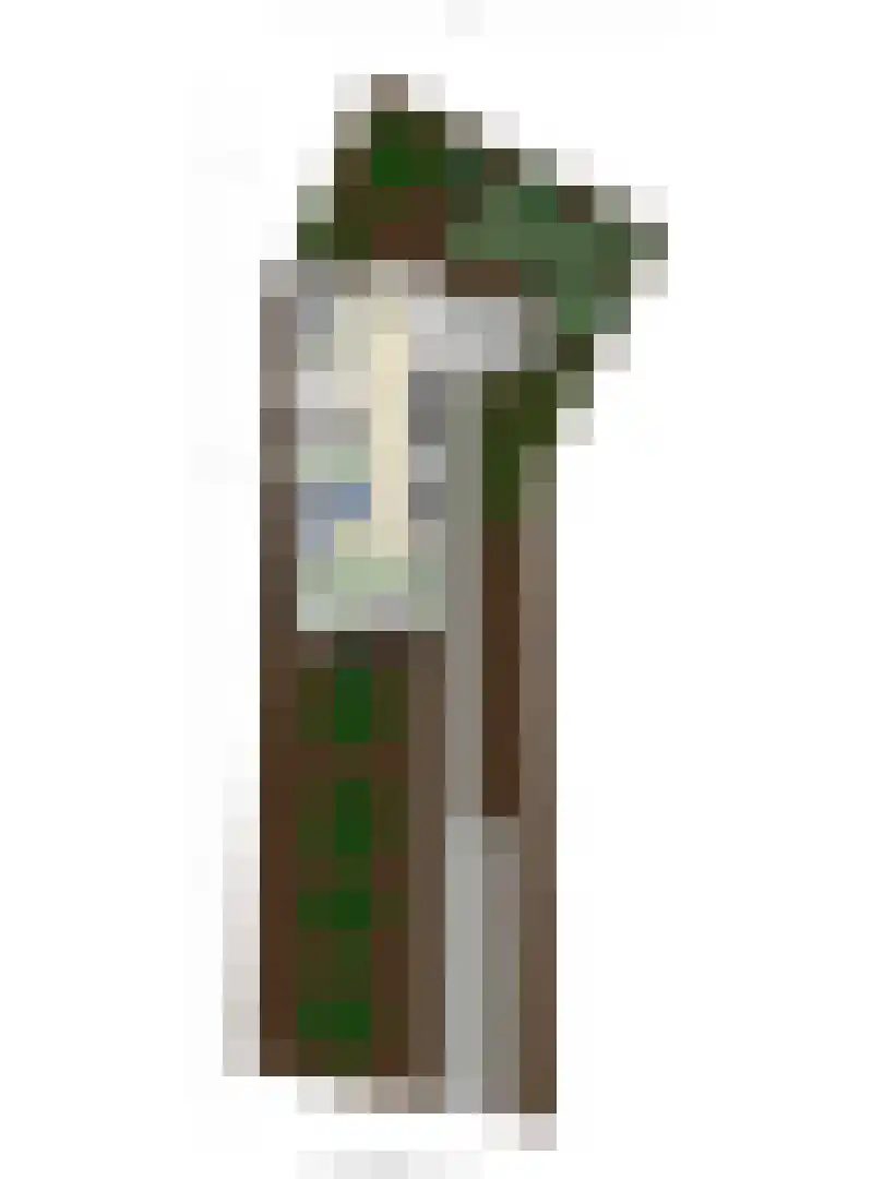 Patrijslaan 4 H 629 Mierlo thumbnail 29