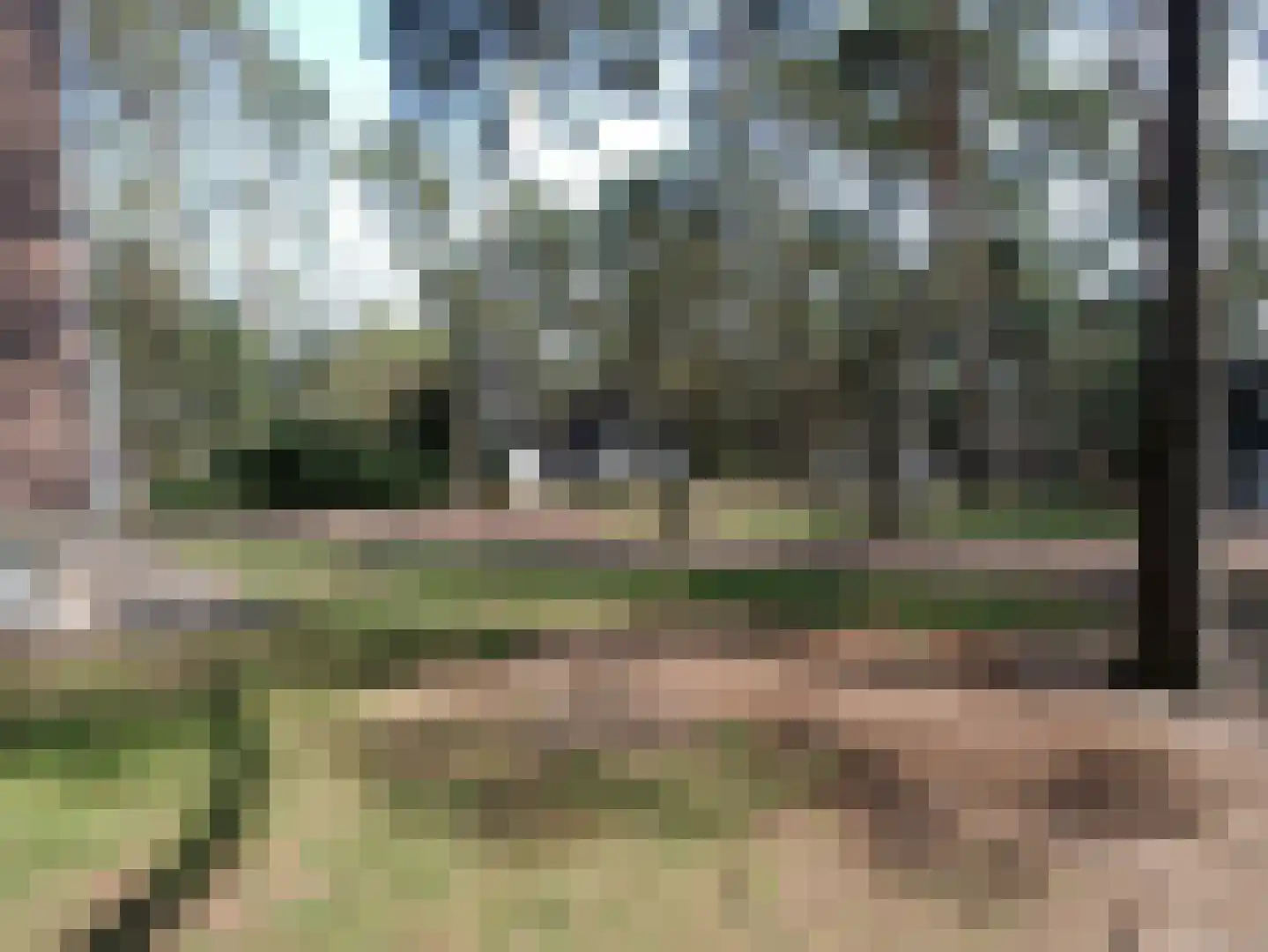 Patrijslaan 4 H 629 Mierlo thumbnail 36