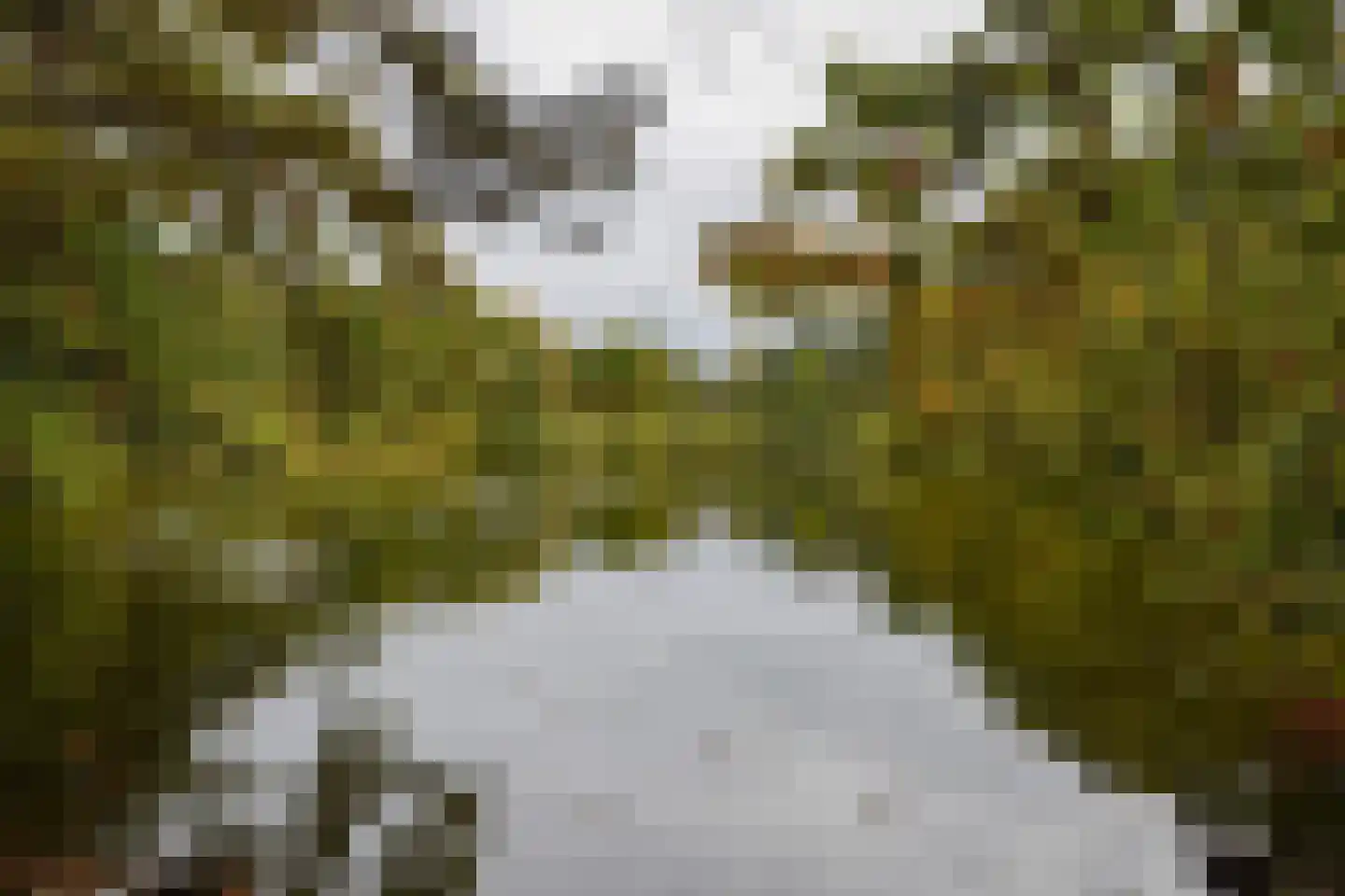 Patrijslaan 4 H 629 Mierlo thumbnail 37