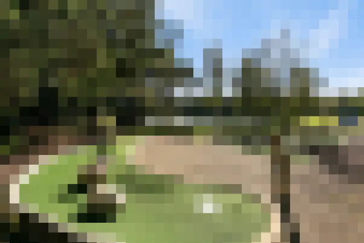 Patrijslaan 4 H 629 Mierlo thumbnail 38