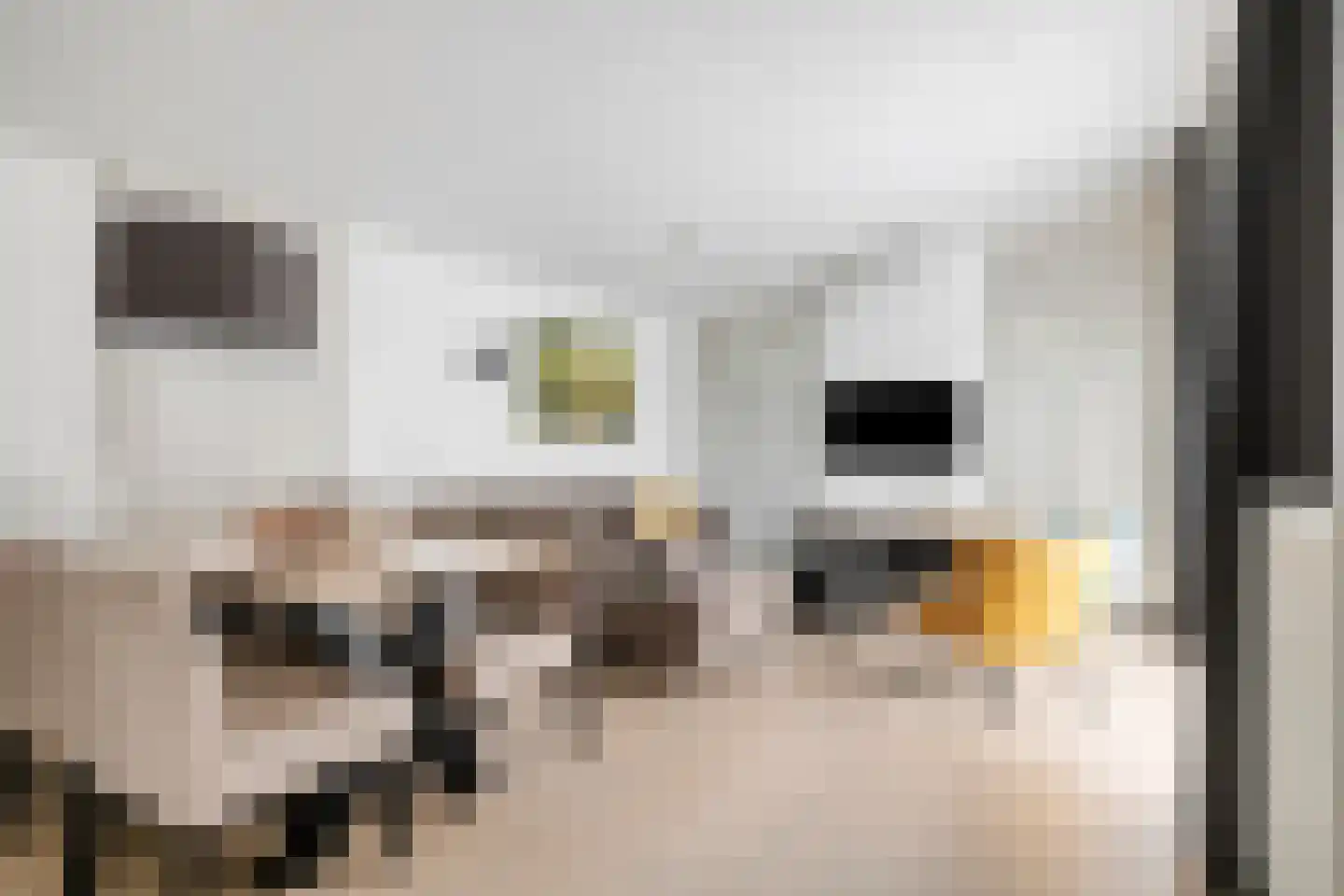 Patrijslaan 4 H 629 Mierlo thumbnail 4