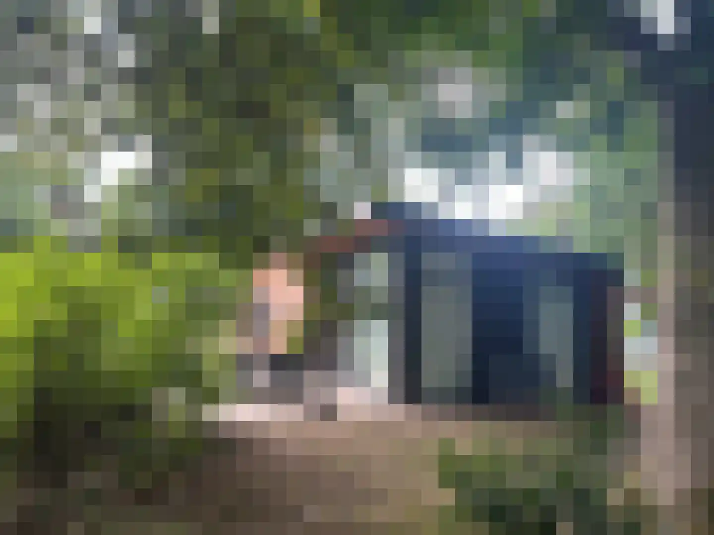 Patrijslaan 4 H 629 Mierlo thumbnail 7