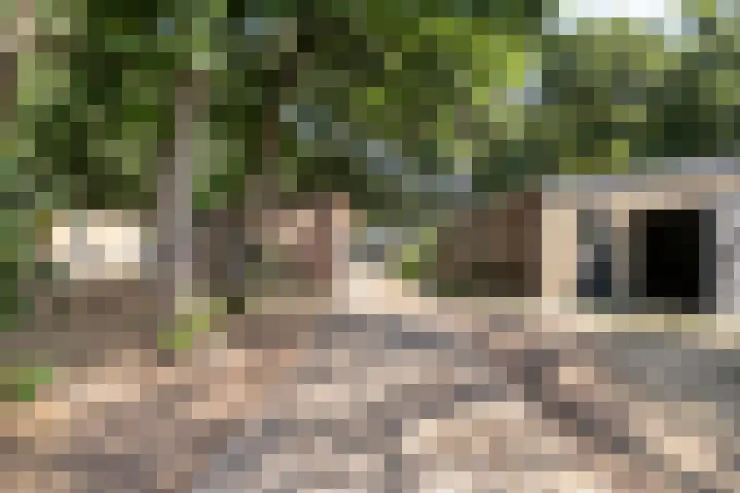 Patrijslaan 4 H 629 Mierlo thumbnail 8