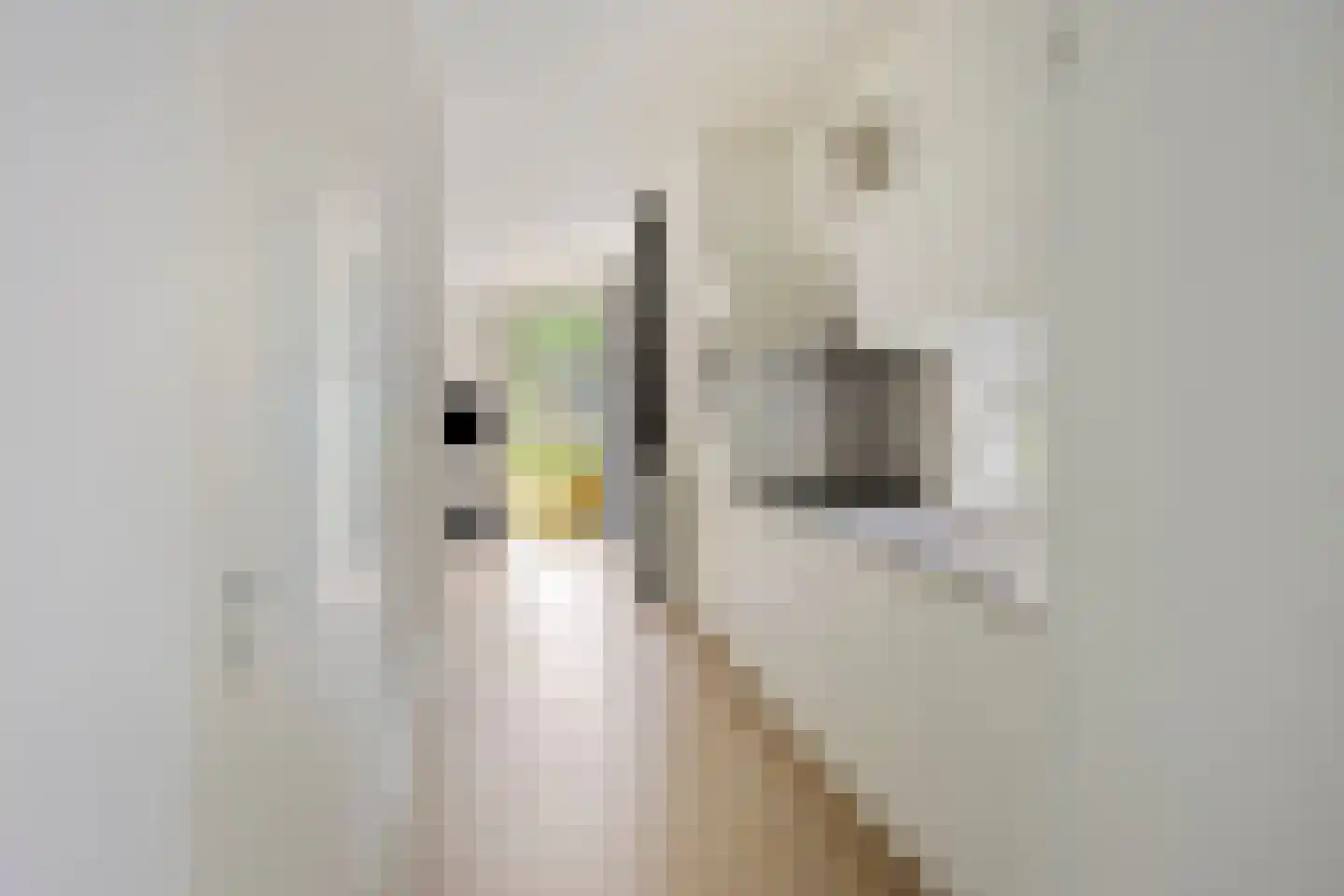 Patrijslaan 4 H 638 Mierlo thumbnail 10