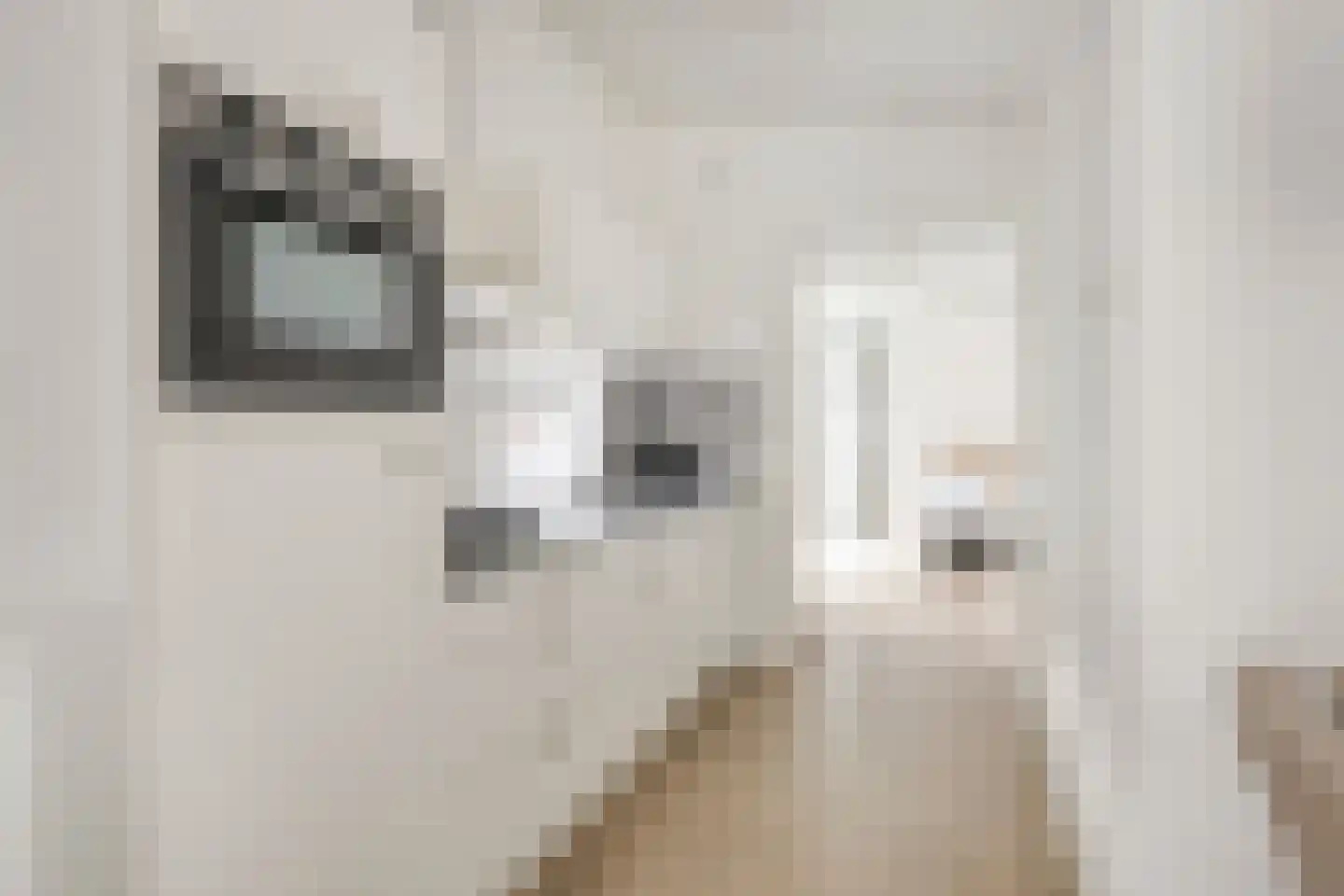 Patrijslaan 4 H 638 Mierlo thumbnail 12