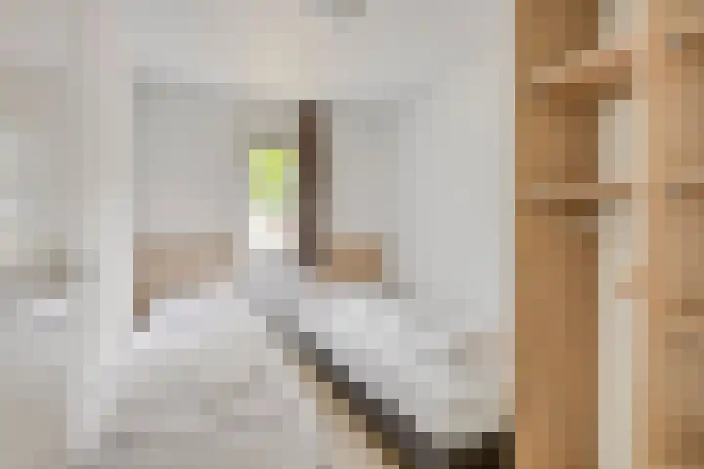 Patrijslaan 4 H 638 Mierlo thumbnail 14