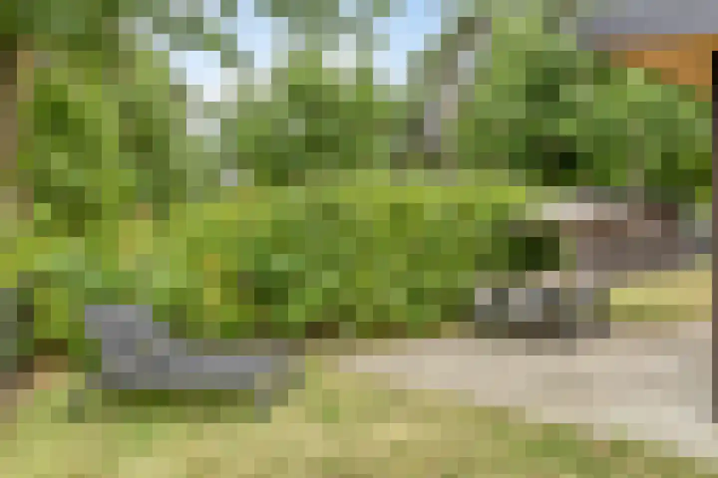 Patrijslaan 4 H 638 Mierlo thumbnail 4