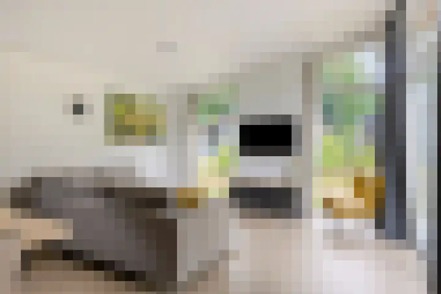 Patrijslaan 4 H 638 Mierlo thumbnail 5