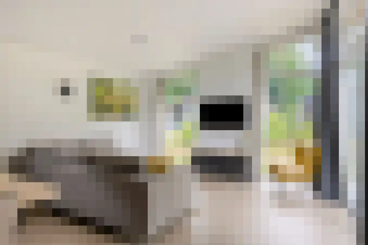 Patrijslaan 4 H 638 Mierlo thumbnail 5