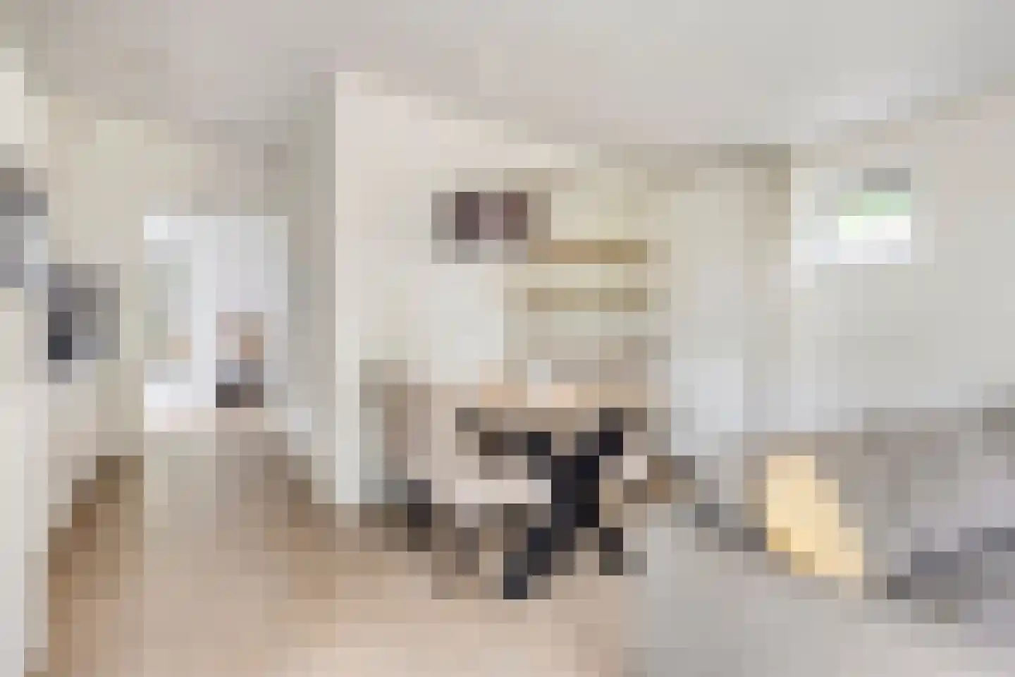Patrijslaan 4 H 638 Mierlo thumbnail 8