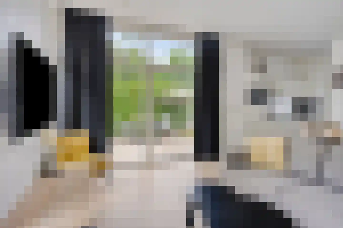 Patrijslaan 4 H 638 Mierlo thumbnail 9