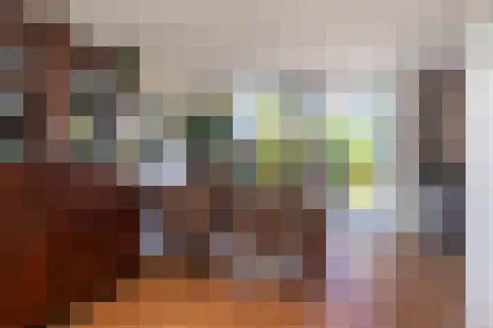 Patrijslaan 44 Honselersdijk thumbnail 10