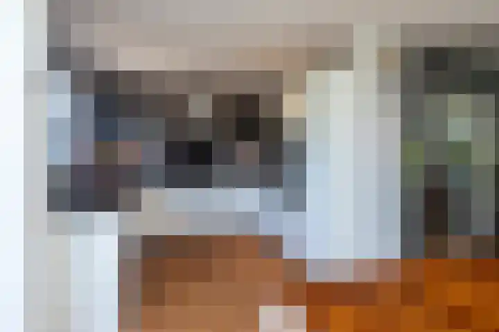 Patrijslaan 44 Honselersdijk thumbnail 11