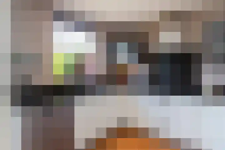 Patrijslaan 44 Honselersdijk thumbnail 14