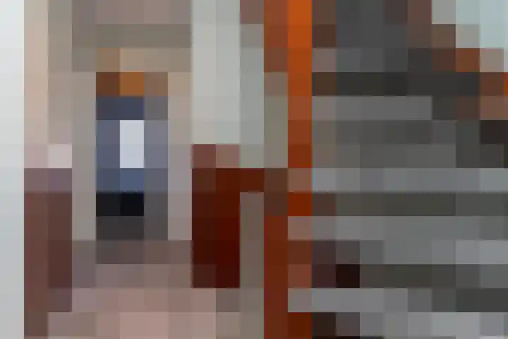 Patrijslaan 44 Honselersdijk thumbnail 24