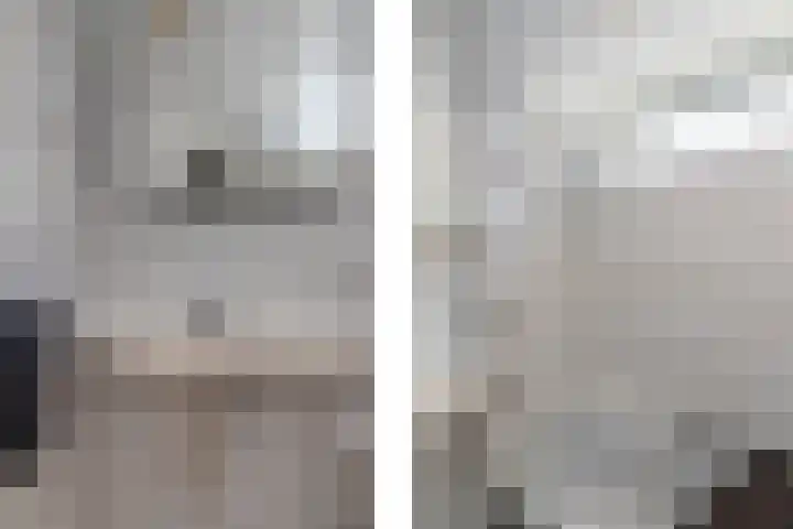Patrijslaan 44 Honselersdijk thumbnail 25
