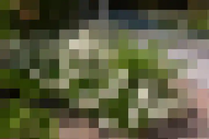Patrijslaan 44 Honselersdijk thumbnail 33