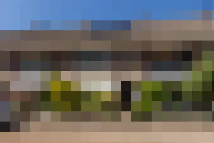 Patrijslaan 44 Honselersdijk thumbnail 34