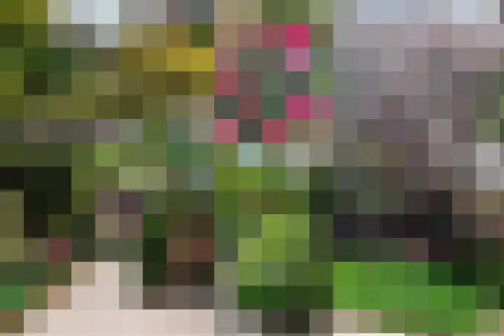 Patrijslaan 44 Honselersdijk thumbnail 35