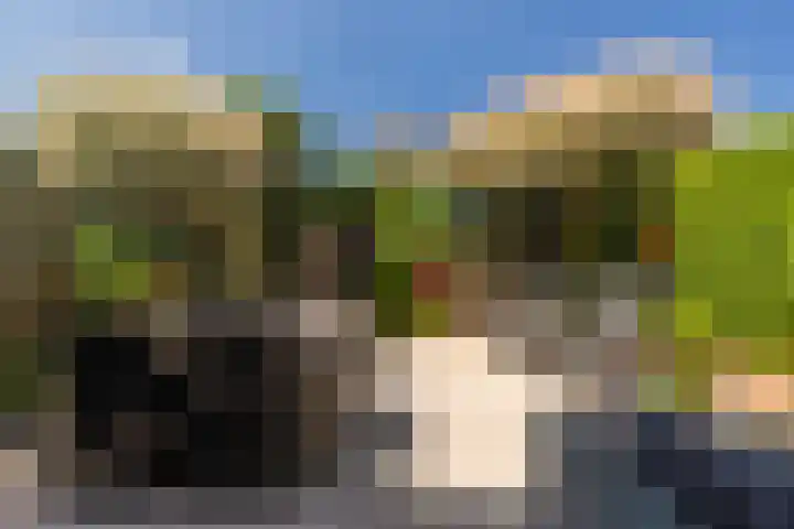 Patrijslaan 44 Honselersdijk thumbnail 4