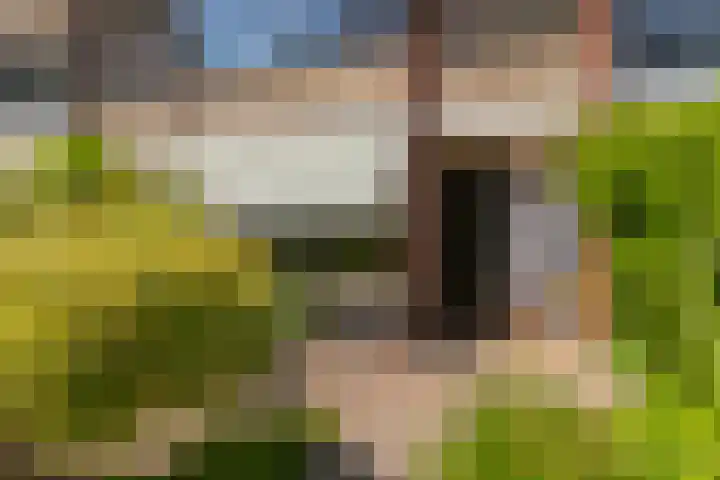 Patrijslaan 44 Honselersdijk thumbnail 5