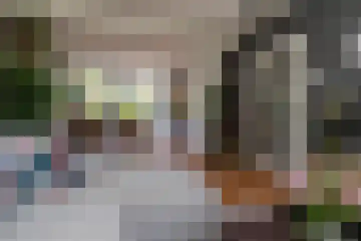 Patrijslaan 44 Honselersdijk thumbnail 9