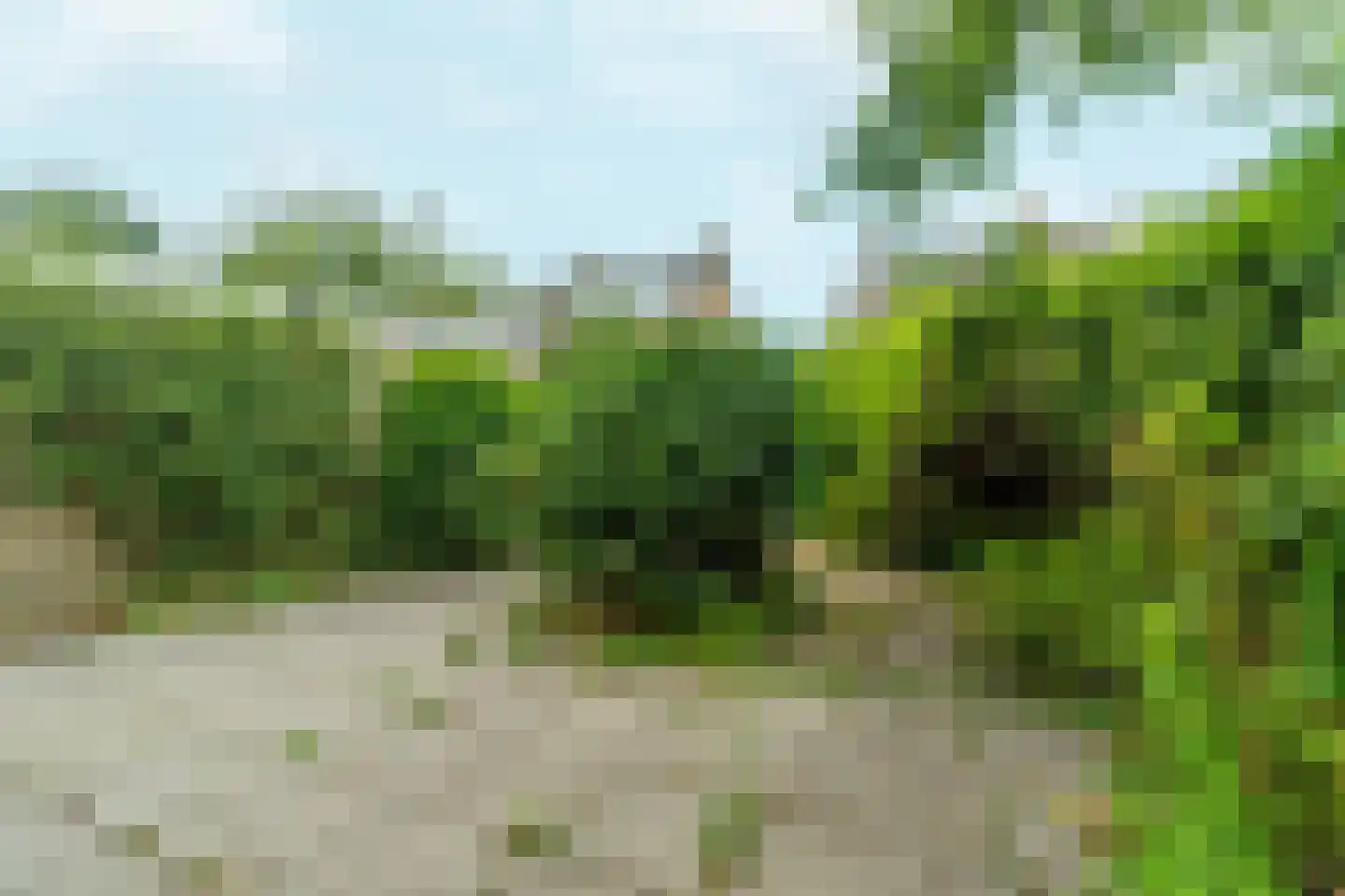 Patrijslaan 48 Leidschendam thumbnail 43