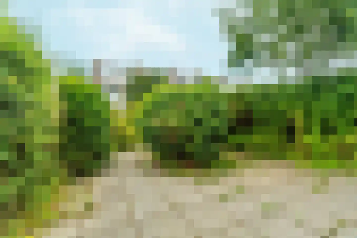 Patrijslaan 48 Leidschendam thumbnail 44
