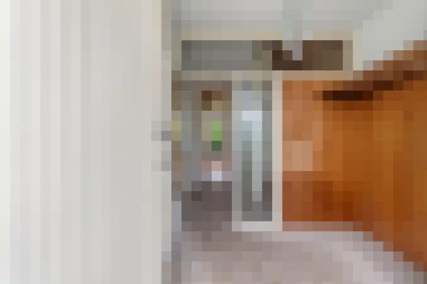 Patrijslaan 48 Leidschendam thumbnail 6