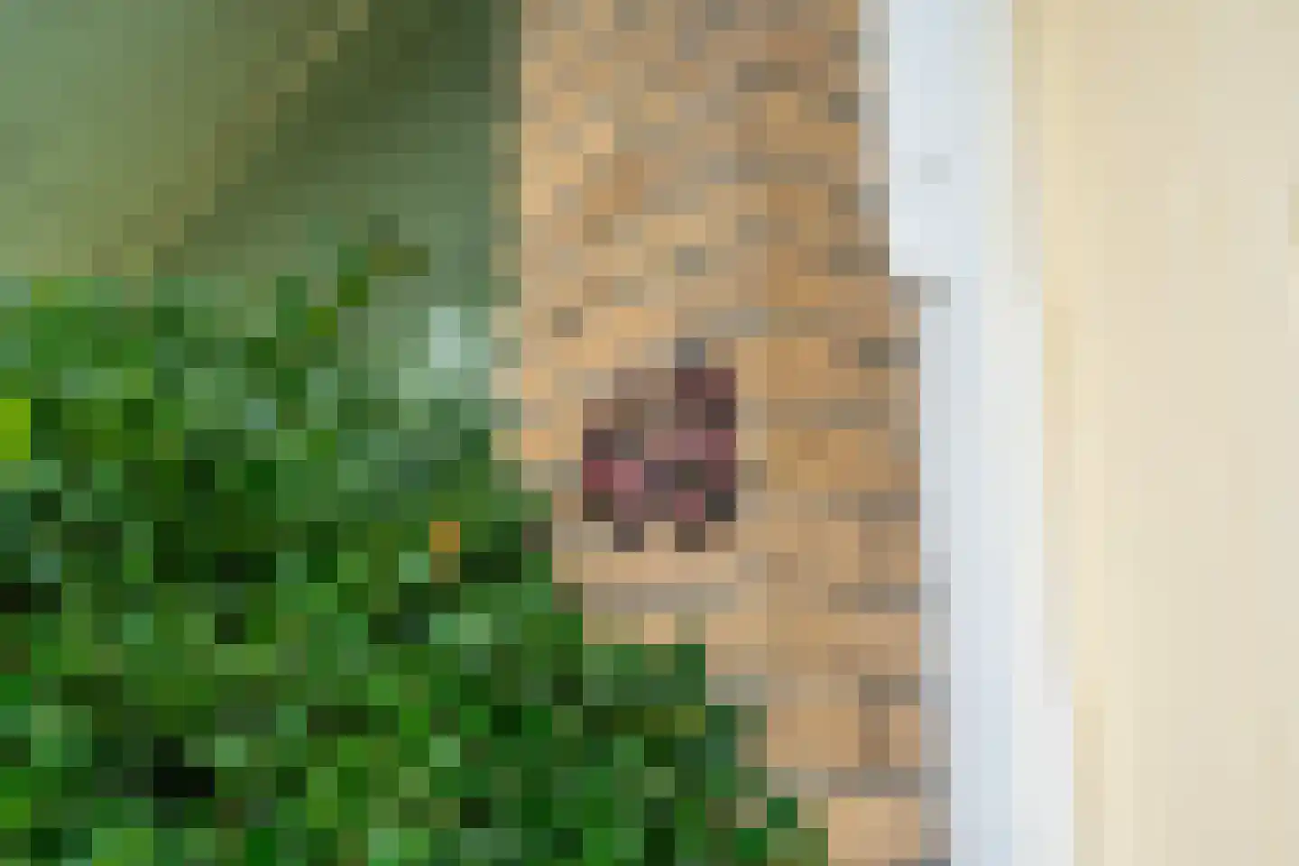 Patrijslaan 48 Leidschendam thumbnail 7