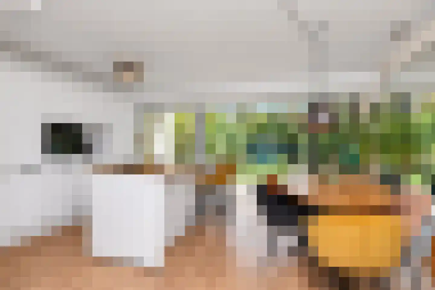Patrijslaan 49 Leidschendam thumbnail 11