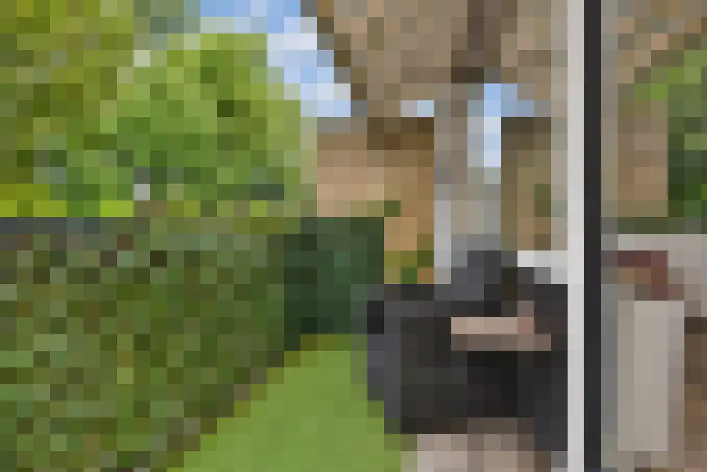Patrijslaan 49 Leidschendam thumbnail 22