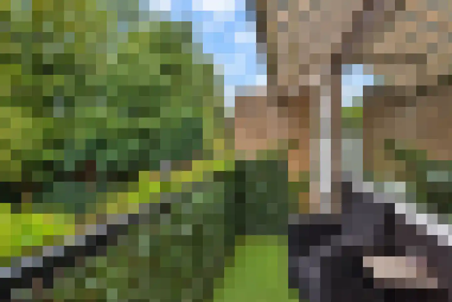 Patrijslaan 49 Leidschendam thumbnail 23