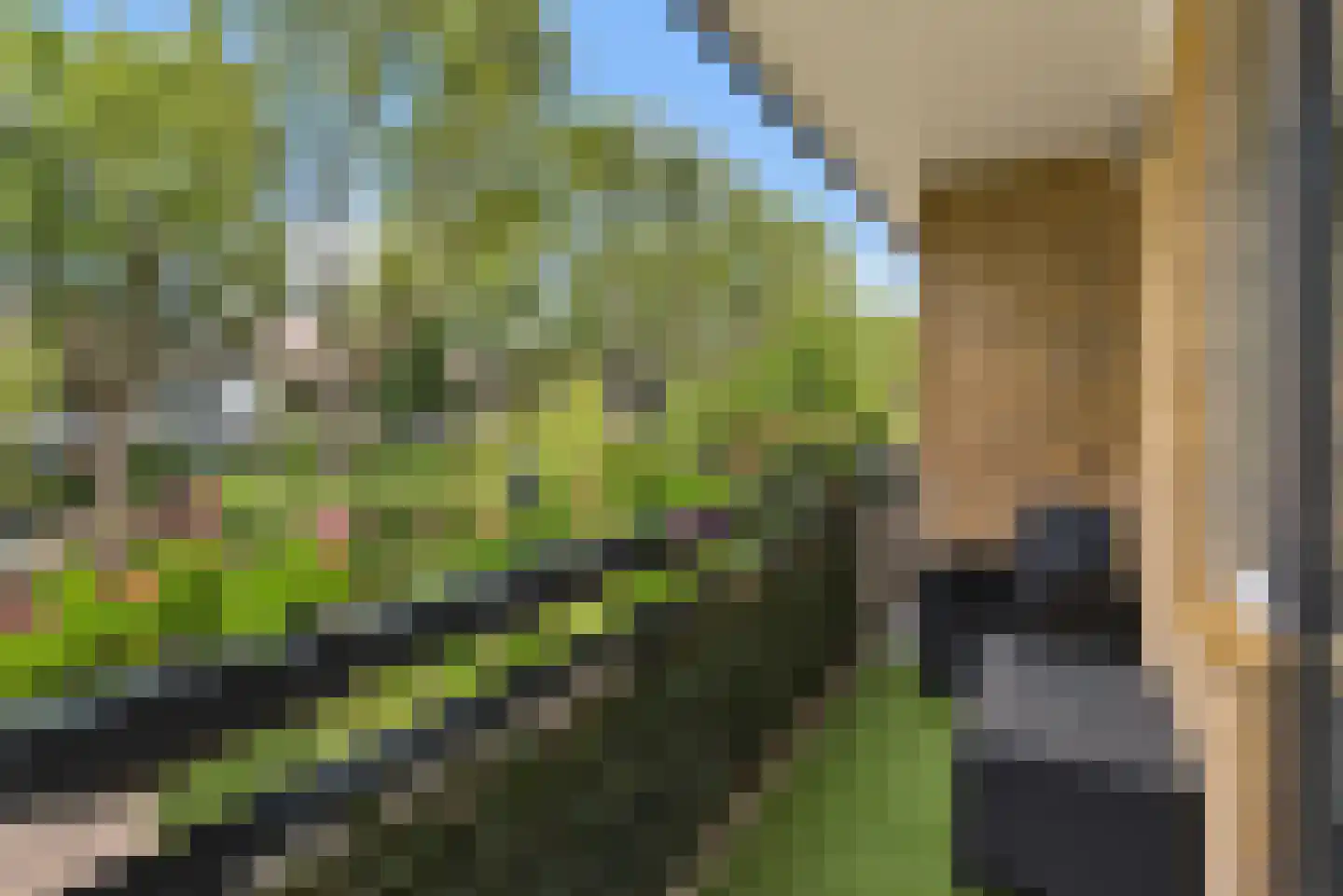 Patrijslaan 49 Leidschendam thumbnail 35