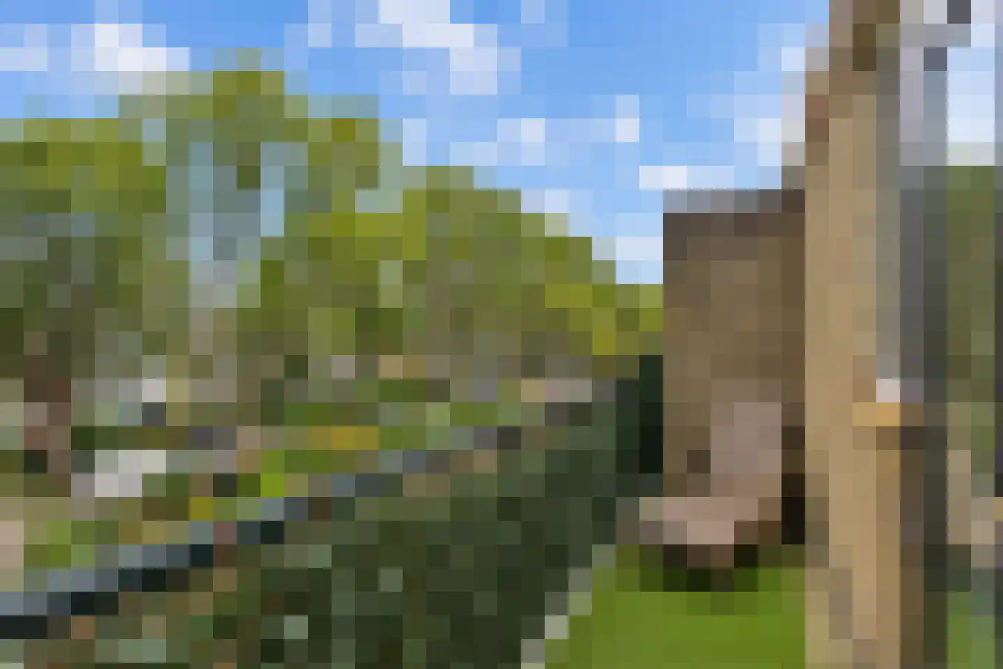 Patrijslaan 49 Leidschendam thumbnail 43
