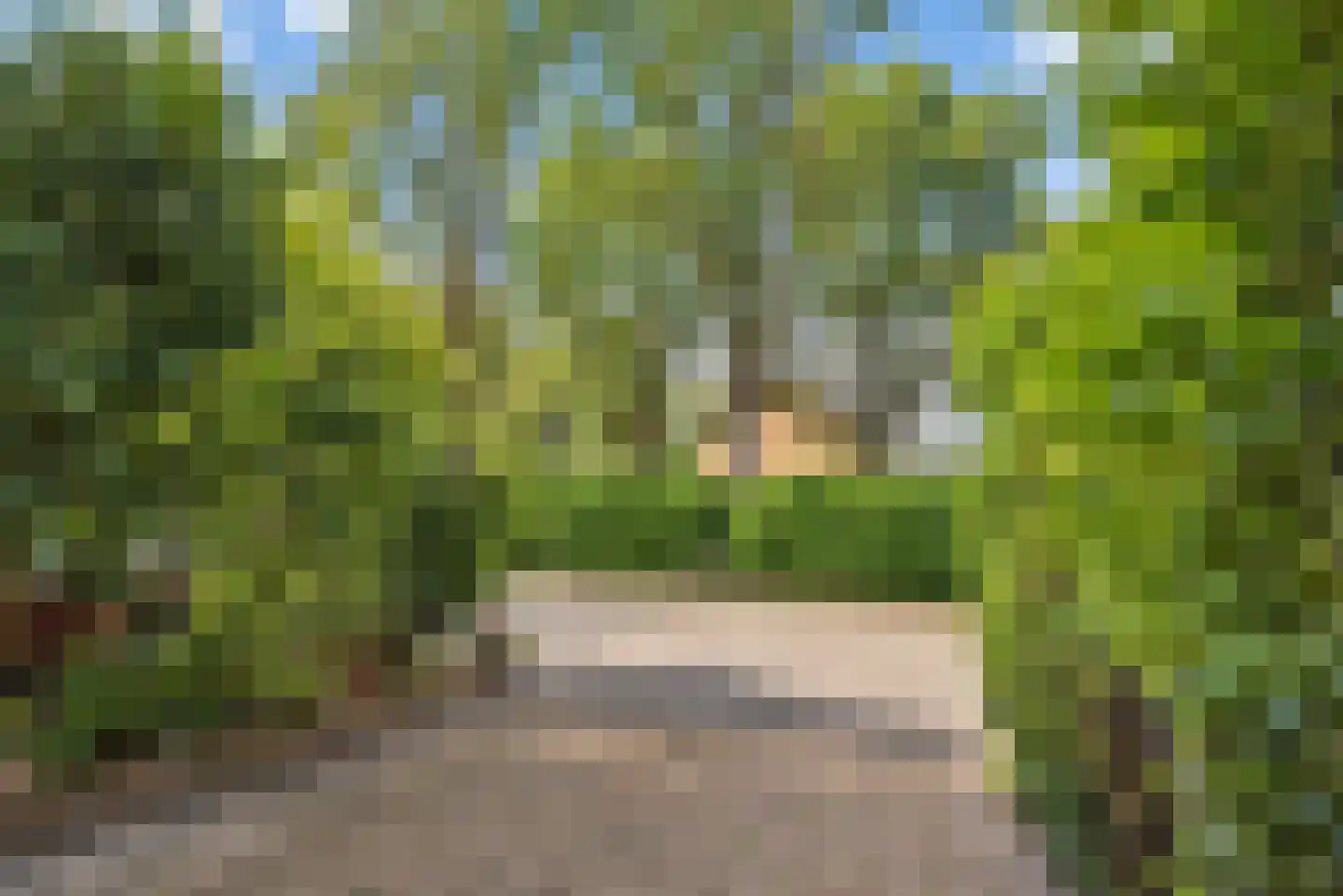 Patrijslaan 49 Leidschendam thumbnail 6