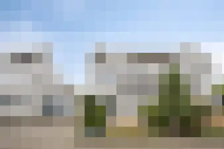 Patrijslaan 53 Budel