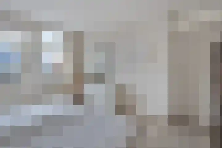 Patrijslaan 53 Budel thumbnail 19