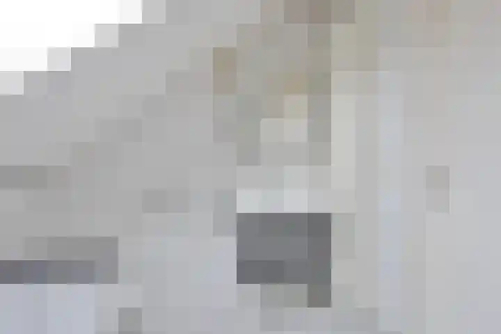 Patrijslaan 53 Budel thumbnail 21