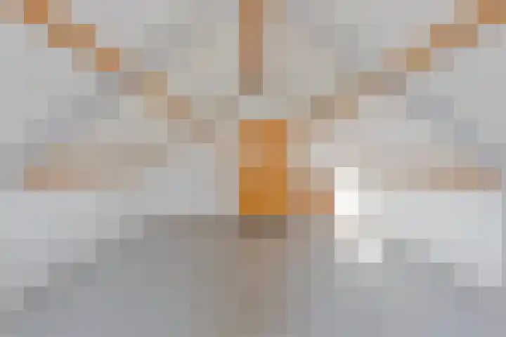 Patrijslaan 53 Budel thumbnail 25