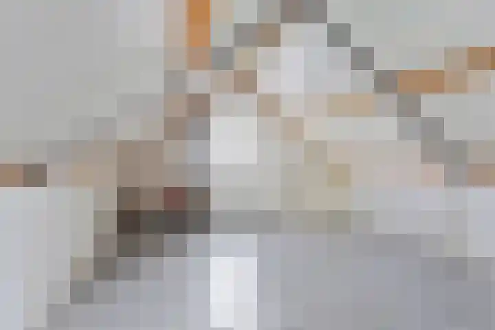 Patrijslaan 53 Budel thumbnail 26