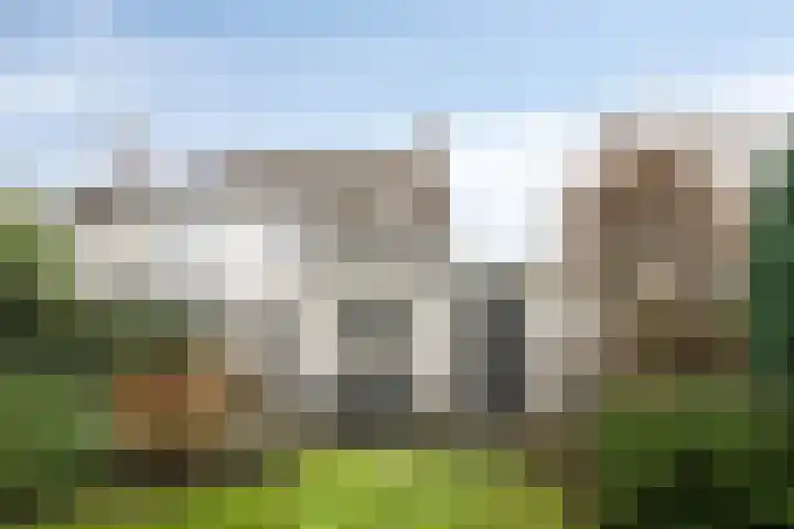 Patrijslaan 53 Budel thumbnail 27