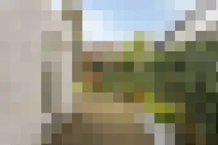 Patrijslaan 53 Budel thumbnail 28