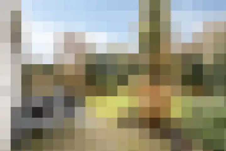 Patrijslaan 53 Budel thumbnail 29