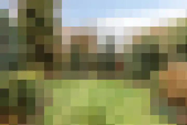Patrijslaan 53 Budel thumbnail 30