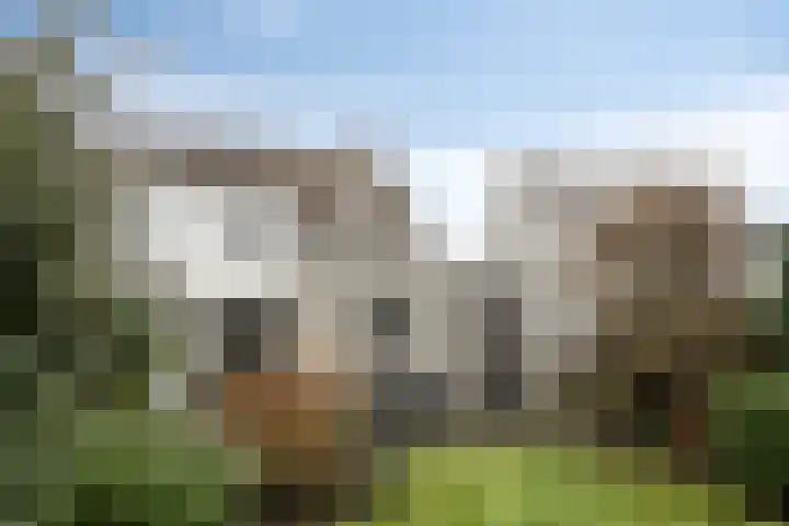 Patrijslaan 53 Budel thumbnail 31