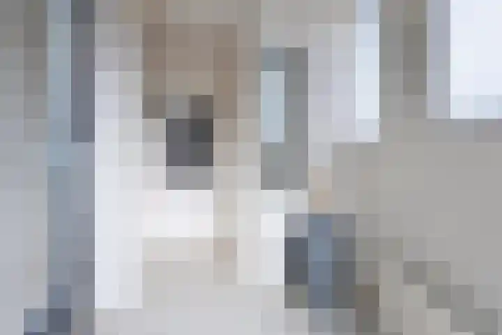 Patrijslaan 53 Budel thumbnail 4