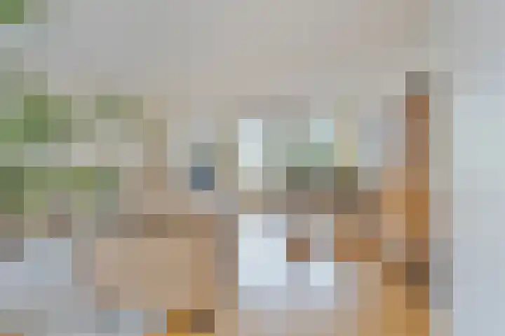 Patrijslaan 53 Budel thumbnail 6