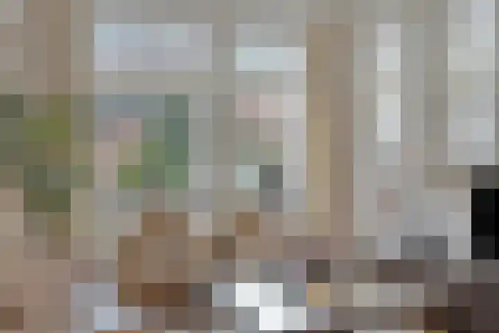 Patrijslaan 53 Budel thumbnail 8